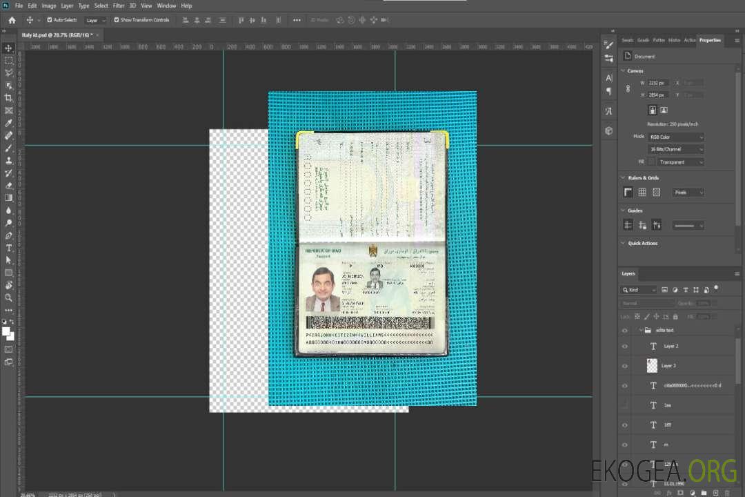 Look photo du passeport irakien template Look photo du passeport irakien template